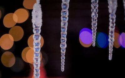 Staying Focused During the Holidays